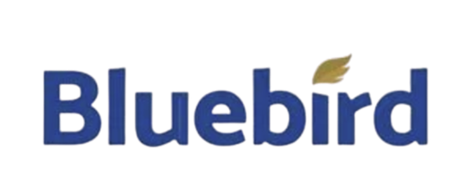 Bluebird Mining Ventures